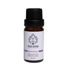 Art De Huile Niaouli 10 ml