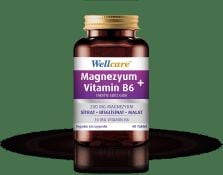 WELLCARE MAGNEZYUM B6 VT 200/10MG 60 TABLET