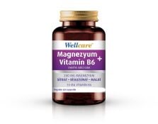WELLCARE MAGNEZYUM B6 VT 200/10MG 30 TABLET