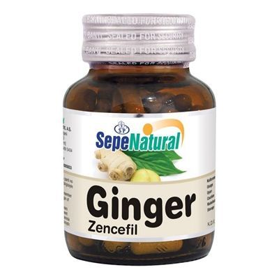 Zencefil Ekstraktı 90 Kapsül x 480 mg