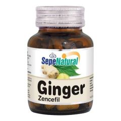 Zencefil Ekstraktı 90 Kapsül x 480 mg