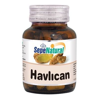 Havlıcan 90 Kapsül x 380 mg 2 Adet Fiyatı