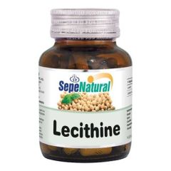 Lesitin 90 Kapsül x 430 mg 1 Adet Fiyatı