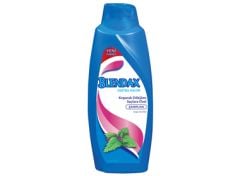 BLENDAX ŞAMP 500 ML ISIRGAN