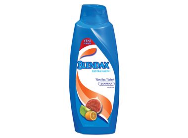 BLENDAX ŞAMP. 500 ML MEYVE ÖZLÜ