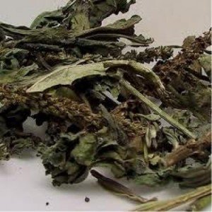 Kırıntı Sinir Otu (Damar Otu) 30 gr