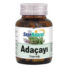 Adaçayı 90 Kapsül x 380 mg