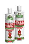 Spanish Garden Organik Yıpranmış Saçlar İçin Şampuanı 450 ml