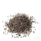 RMD Bitera Hayıt Tohumu 100 gr