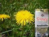 Kırıntı Karahindiba 30 gr
