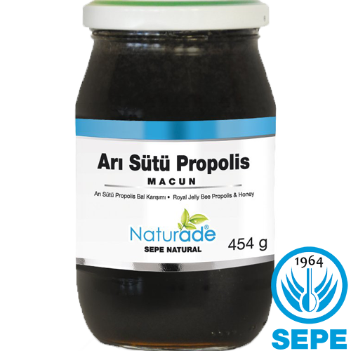 Arı Sütü Propolis Bal Macun 454G