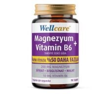 WELLCARE MAGNEZYUM B6 VT 200/10MG 90 TABLET