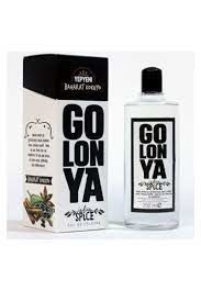 Golonya Spice Baharat 250 ml