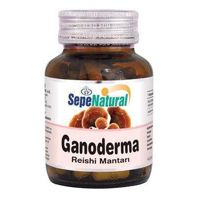 Reishi Mantar Ekstraktı 90 Kapsül x 380 mg