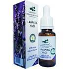 Çalıkoğlu Lavanta Yağı 20 ml