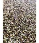 Kırıntı Hayıt Tohumu 50 gr
