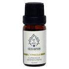 Art De Huile Cypress Selvi Uçucu Yağ 100 ml