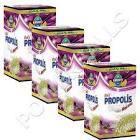 Kırıntı Ballı Propolis Macunu 230 gr
