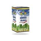 Kırıntı Ginkgo Bilobalı Macun 230 gr