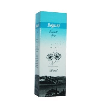 Boğaziçi Esinti Cam Sprey 100 ml