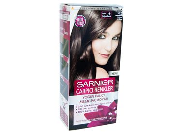 Garnier Col.Nat.Çar.Ren.Boya  4.0 Yoğun Kahve