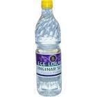 Ege Lokman Enginar Suyu 1 lt