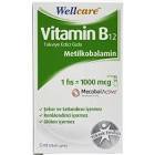 Wellcare Vitamin B12 500 mcg Sprey 5 ml