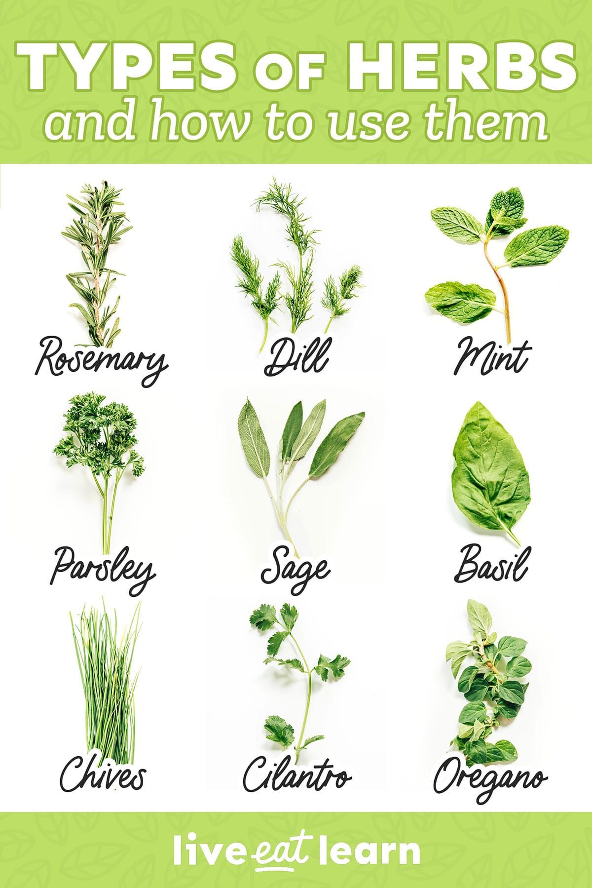 Herbs & Chem Canlı ve Güçlü Saçlar İçin Doğal Bakım Yağı 100 ml