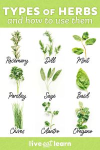 Herbs & Chem Canlı ve Güçlü Saçlar İçin Doğal Bakım Yağı 100 ml