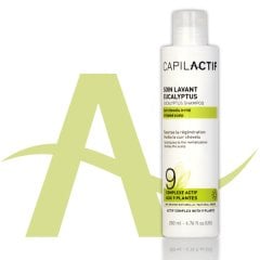CAPILACTIF SAMPUAN OKALIPTUS