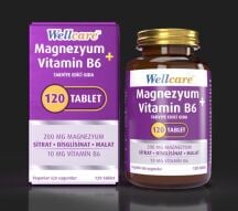 WELLCARE MAGNEZYUM B6 VT 200/10MG 120 TABLET