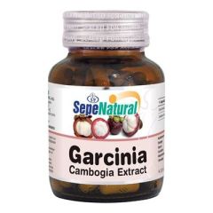 Garcinia Cambogia Ekstraktı 90 Kapsül x 430 mg 4 Adet Fiyatı
