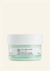 The Body Shop Aloe Nemlendirici Gündüz Kremi 50 ml