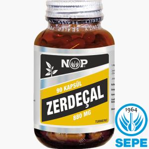 Zerdeçal Kapsül 100 x 880 mg Curcumin Kurkumin Turmeric