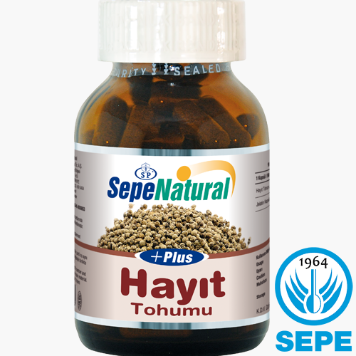 Hayıt Plus 90 Kapsül 580 mg Chaste Seed Bayanlara Hayıt Kapsül