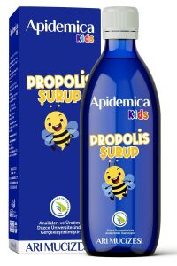 Apidemica Karamürver Karadut Pastil 24'lü