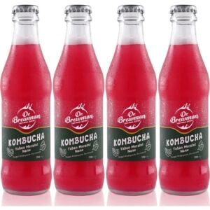 Kombucha Yaban Mersinli Naneli İçecek Probiyotik 200 ml - 4'lü Paket