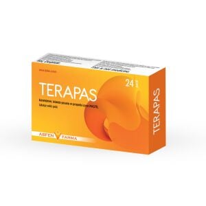 TERAPAS PASTIL 24 ADET