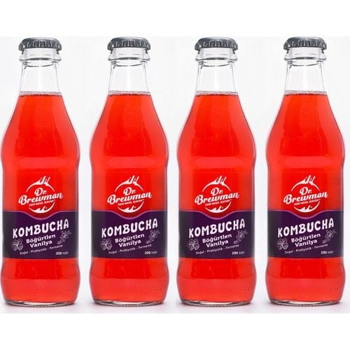 Kombucha Böğürtlenli Probiyotik İçecek 200 ml 4'lü