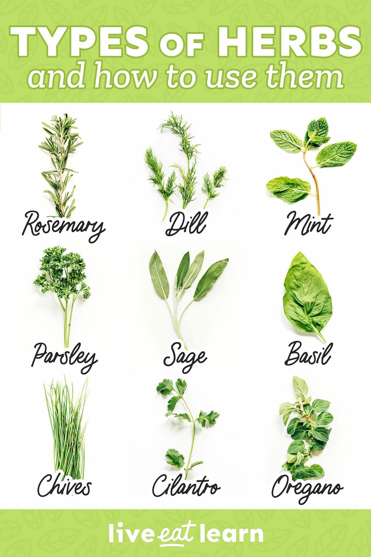 Herbs & Chem Saç Derisi Bakım Yağı 100 ml