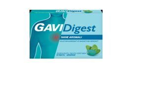 Gavidigest Nane Aromalı Şekersiz 12 Pastil