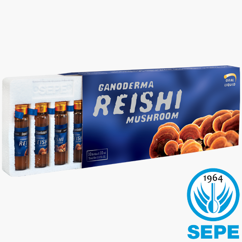 Reishi Mantar Extract 750mg 10 ml x 10 Ampul Reişi Reyşi Ekstrakt