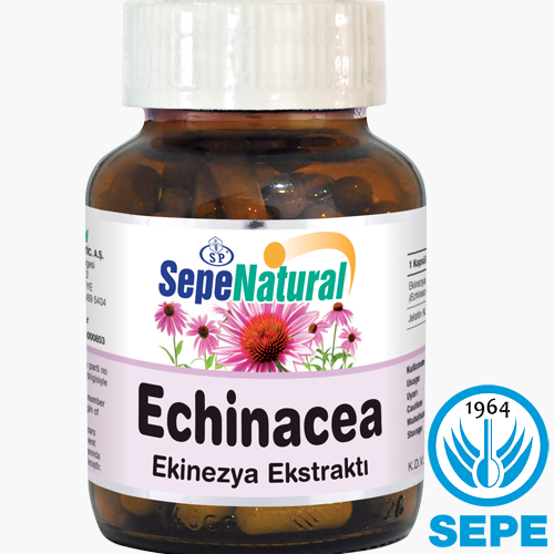 Echinacea Extract 90 Kapsül 530 mg Ekinezya Ekstrakt Ekstresi