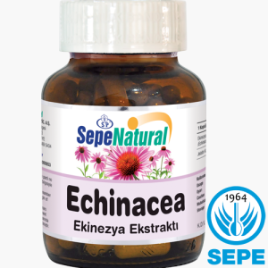 Echinacea Extract 90 Kapsül 530 mg Ekinezya Ekstrakt Ekstresi