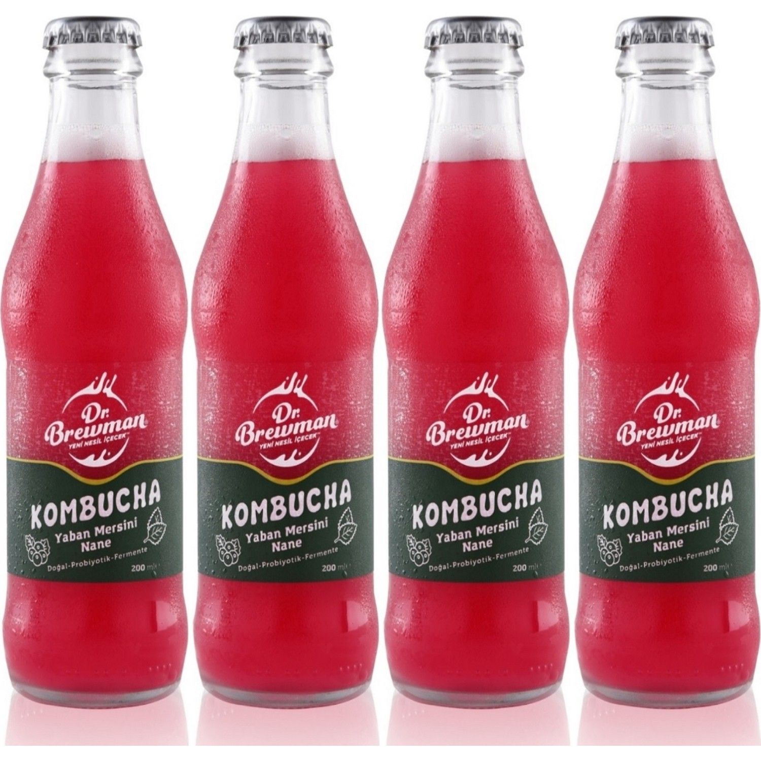 Kombucha Yaban Mersinli Naneli İçecek Probiyotik 200 ml 2'li
