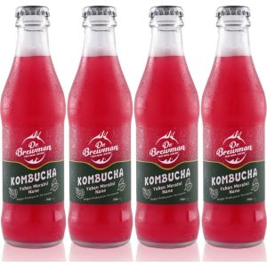Kombucha Yaban Mersinli Naneli İçecek Probiyotik 200 ml 2'li