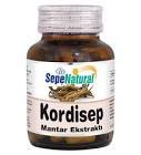 Cordyceps Extract 430 mg Kordisep Mantar Ekstresi 90 Kapsül