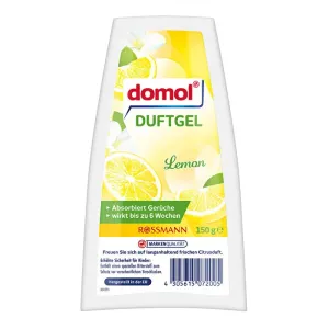 Domol Limon Oda Kokusu Jel 150 gr