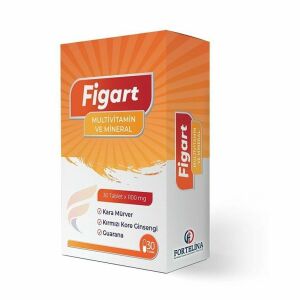 Figart Multivitamin & Mineral 30 Tablet