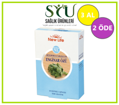 3 Al 2 Öde New Life Enginar Özü 40 Kapsül